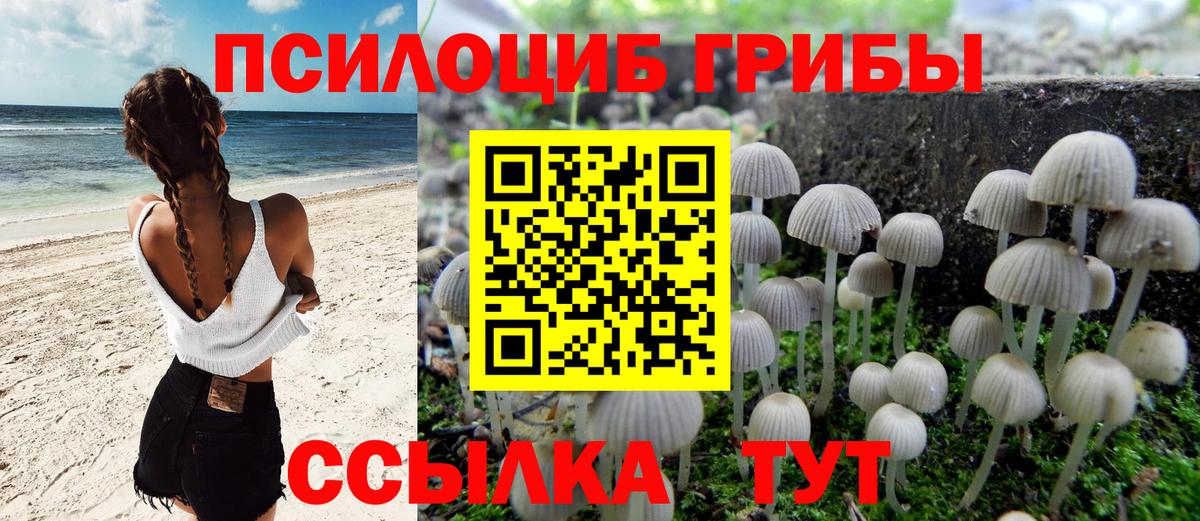 Псилоцибиновые грибы прущие грибы Медногорск